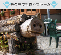 NNt@[ʐ^